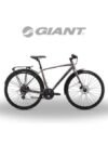 GIANT ESCAPE 2 CITY DISC Vélo ville Giant Escape 2 City Disc