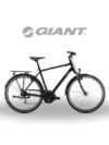 Vélo Ville Attend RS 1 GTS  Giant GX06 700C aluminium  Suntour CR7V, 40mm débattement